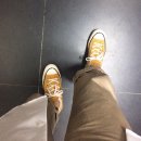 썬플라워(sun flower) | 컨버스 척테일러 1970s 썬플라워 구매후기 CONVERSE CHUCK TAYLOR 1970s SUN FLOWER (젝퍼셀 230...