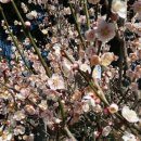 땅끝기와집 이미지