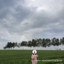 남구-060 | 6월 황금연휴 2박3일 홋카이도 자유여행 후기 -2일차 (2)-