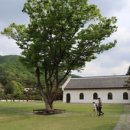 베툴라 자작나무숲 펜션 이미지