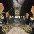 동촌 | [WD준비] 베뉴 노비아갈라 동촌 시그니아홀 후기