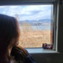 푸른마트 | 원동 촌캉스 고란 내돈내산 후기(커피푸른창)