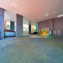 URBAN TREE 39 이미지