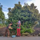 토산중앙교차로 2 이미지