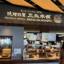 돌고래농장 | 내돈내산 오키나와 북부 버스투어 츄라우미 수족관, 츄라우미 돌고래쇼 시간