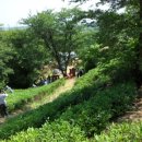 일봉농장 이미지