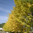 이반성초등학교 이미지