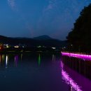 백운호수 산책로 Daum카페