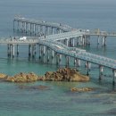 울진시범바다목장해상낚시 이미지