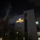 2025 신년음악회 조수비 & 빈 요한 슈트라우스 오케스트라 | 2025년 신년음악회 조수미 &amp; 빈 요한 슈트라우스 오케스트라 후기