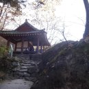 토끼의 점심 Daum카페
