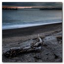 바다, 보다(See The Sea) #4009 이미지