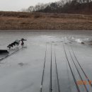오곡제 Daum카페