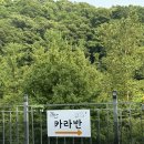 더스타일매점