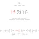 슬로독 이미지