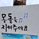 정암마켓