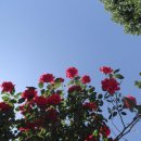 공설운동장 보조경기장 이미지