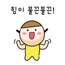 용인중앙공원_M 이미지