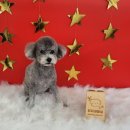 땡자네 묭실 이미지