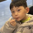 시우카센타 이미지