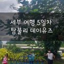 밍키야놀자 | 🇵🇭 세부 여행 5일차 : 탐불리 데이유즈