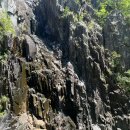 2025년 8월 10일(일) 밀양구만산 향군건너 _ 07시00분 출발 이미지