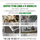 YB안과의원 이미지