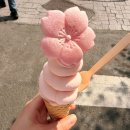 중원-64 | 진해 군항제 중원로터리 분위기 총정리｜먹거리·브랜드페어 핵심코스