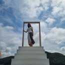 (주)비전티움