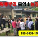 황룡뿌리(흑염소농장) 이미지