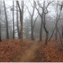 버스정류장 07-155 | [고양 심리산]통일로-매조산-대자산-장령산-심리산-통일로