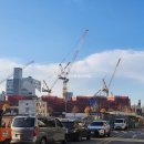 알파부동산공인중개사사무소 이미지