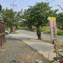 솔밭펜션 캠핑장 | [포항] 솔밭 오토캠핑장 이용 후기(feat.근로자휴가지원사업)