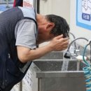 가야직업소개소 네이버블로그