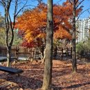 도덕산공원 이미지