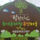 탐진사인