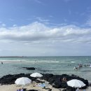 비타민씨하우스 민박 | 제주 서귀포 게하 추천 &lt;수수민박&gt; 내돈내산 후기 - 제주 자유여행 2일차