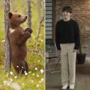 태형 이미지