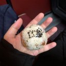 주먹맛볼래 이미지