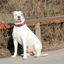 광주기획 이미지