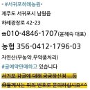 민속당 네이버블로그