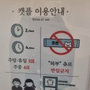 캣플헤븐 천안불당점 이미지