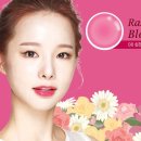 스테이온 네이버블로그