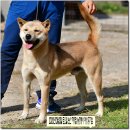 까치농장 이미지