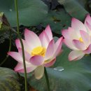 신하농장 이미지