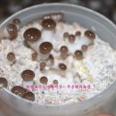 푸른행복농장 이미지