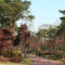 장충단공원 Daum카페