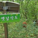 구룡령 옛길 이미지