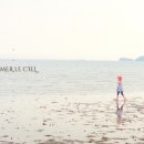 라메르 갯벌 이미지