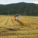 임마누엘농장 이미지